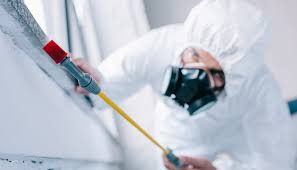 Best Termite Inspection and Treatment  in South Greensburg, PA